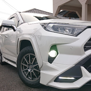 RAV4 MXAA54