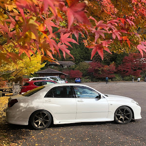 ヴェロッサ JZX110