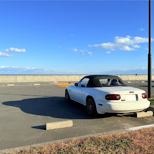 ロードスター NA8C