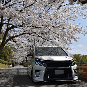 ヴォクシー ZRR80W