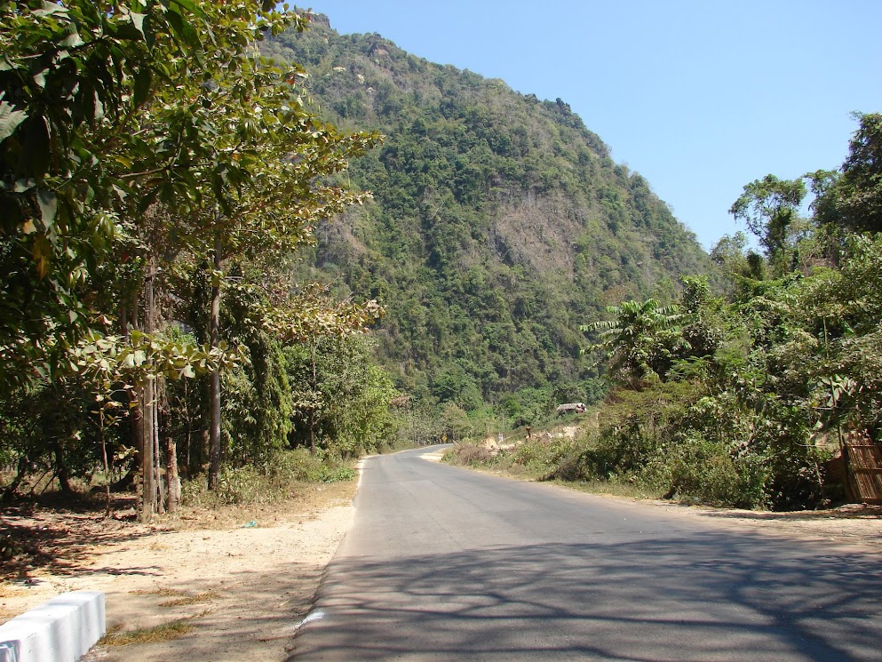 mango garden