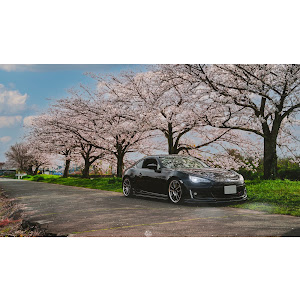 BRZ ZC6