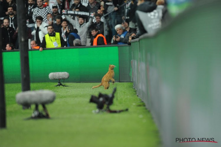 ? Opvallende bezoeker in Besiktas-Bayern, UEFA reageert met boete