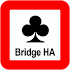 Bridge Hand Analyzer1.16