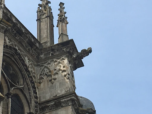 Gargouille de la Cathédrale Saint-Etienne