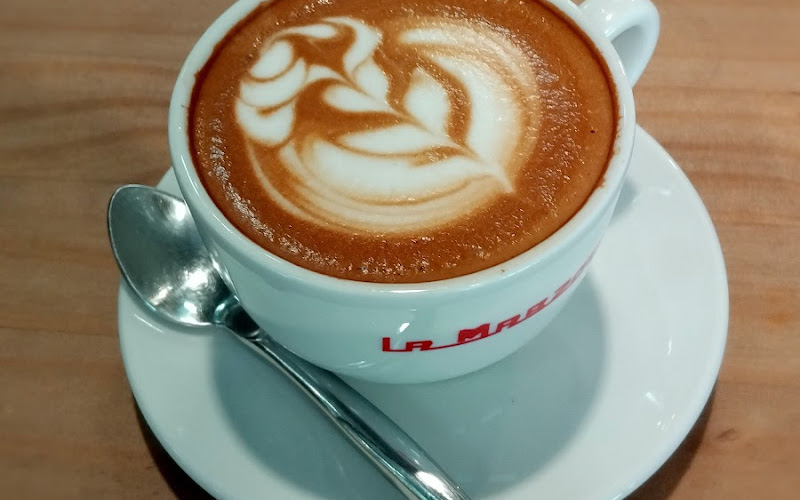 Vector Coffee Roaster l Factory