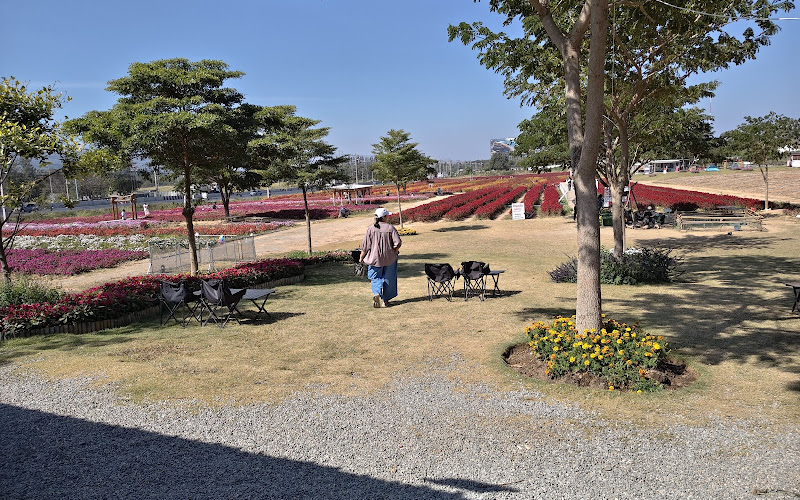 สวนดอกไม้มิตรภาพ Mittraphap Flowers