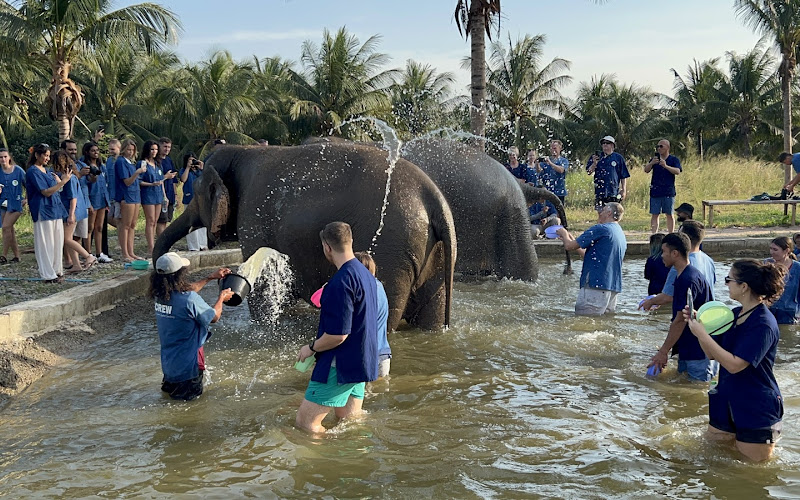 Bangkok Ethical Elephant Tour (Living Green Elephant Sanctuary)