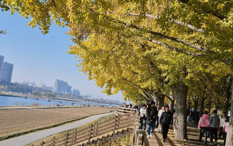 Asan Eunhaengnamu-gil