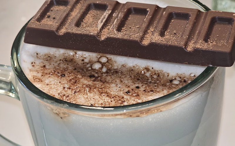 Fungi Plantas y Café