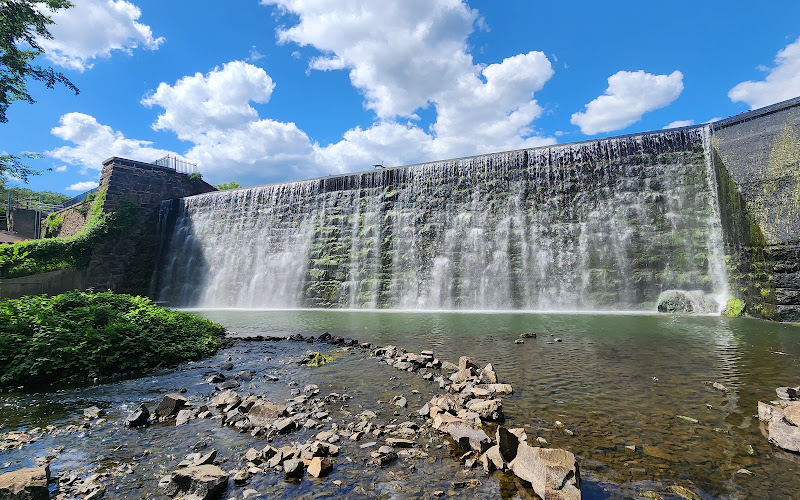 Goose Dam
