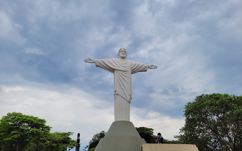 Christ the park