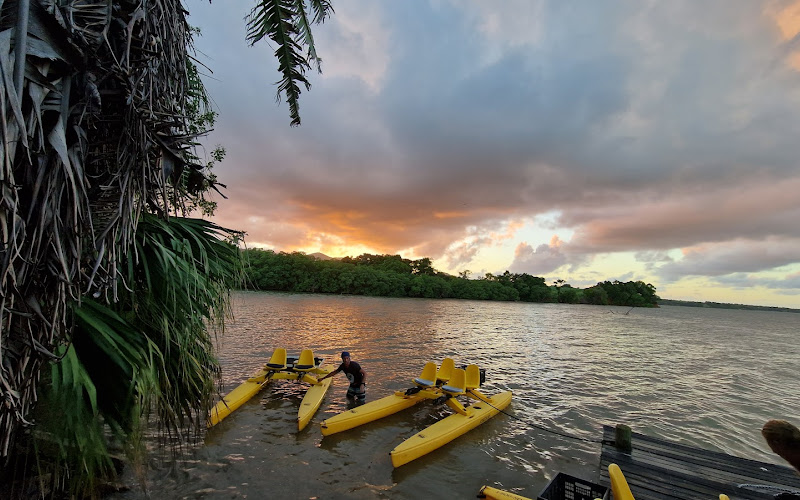 Mangrov Ecotour