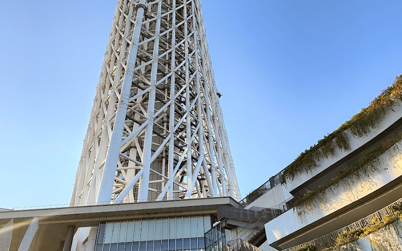 ドームガーデン