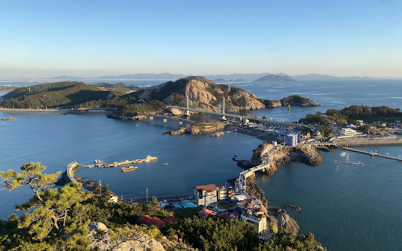 대장도