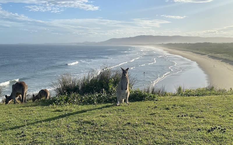Look At Me Now Headland walk