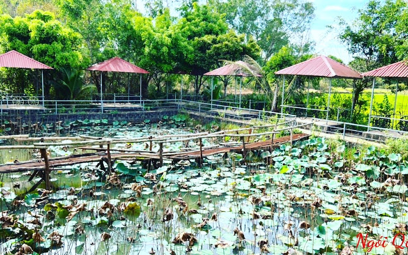 Ẩm Thực - Homestay Ngói Quê Gia Lai