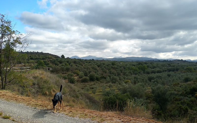 Área recreativa els Novals