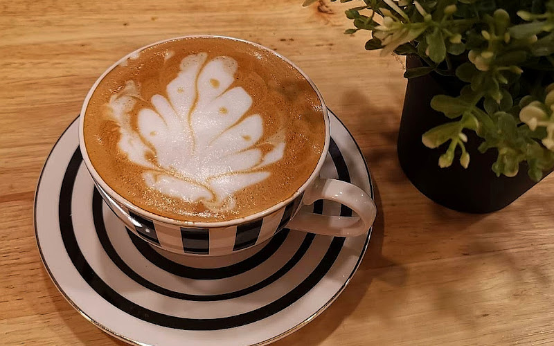 Anna​ &​ The​ Natt