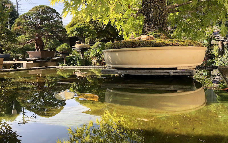 Fuyo-en