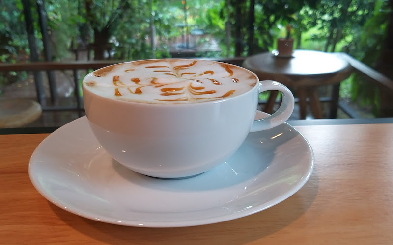 StarCat Coffee