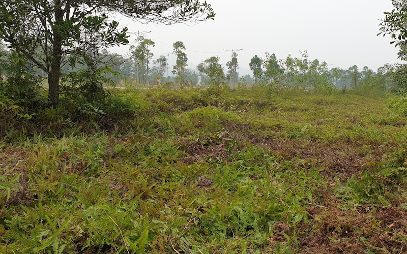 タマン・パーターニアン・アダム・ハワ・ガーデン