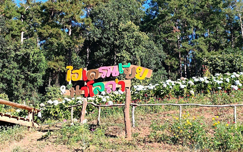 สวนไฮเดรนเยียนาโลถ่า