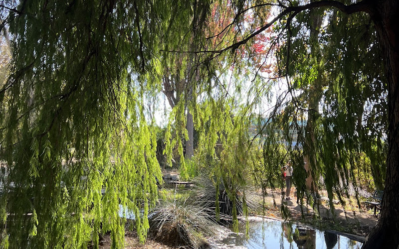 Kuruvungna Village Springs