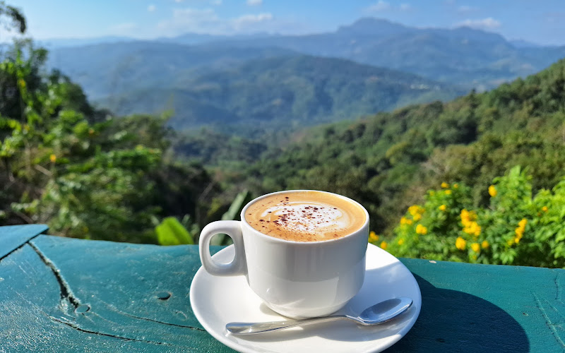 Phamuang Coffee DanPasak