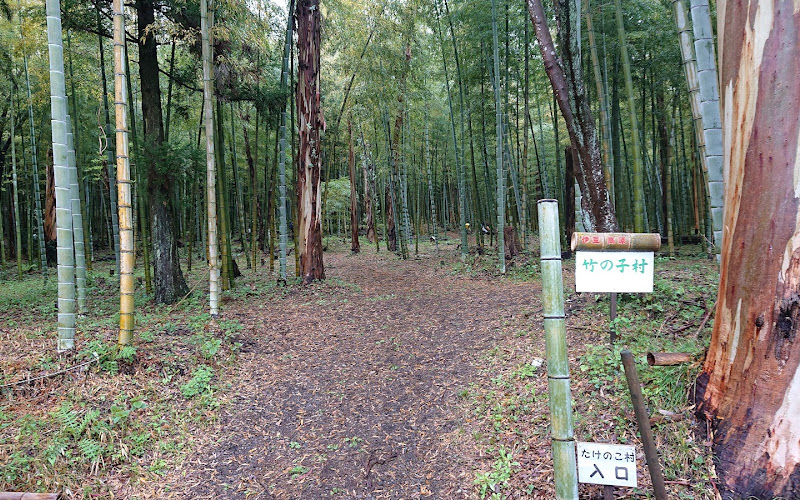 伊豆高原たけのこ村