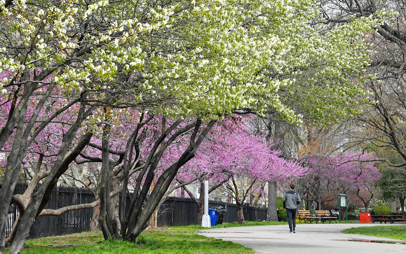 マッカレン公園