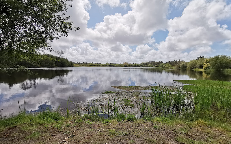 Baloiço dos Teixoeiros