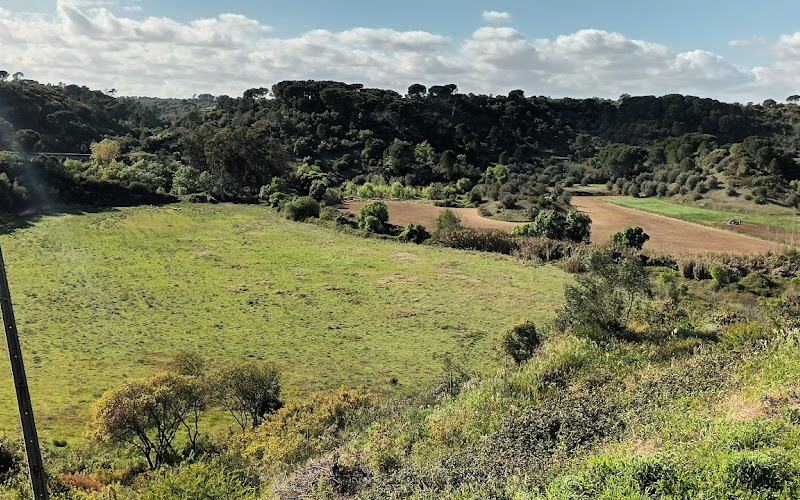 Baloiço Miradouro de Vaqueiros