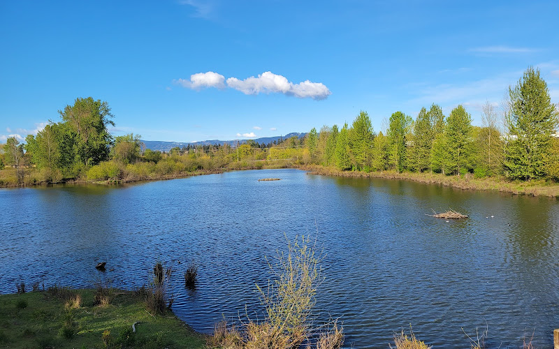 Delta Ponds