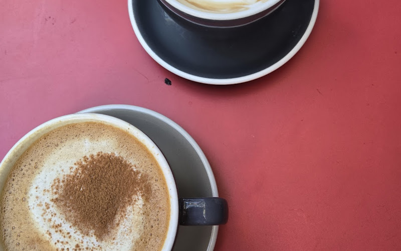 SIGNAL Coffee Roasters