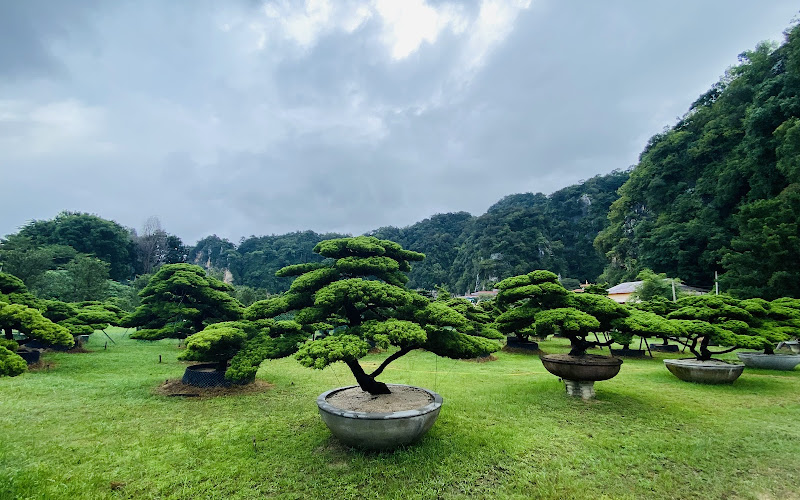 Poh Wah Bonsai Art Garden