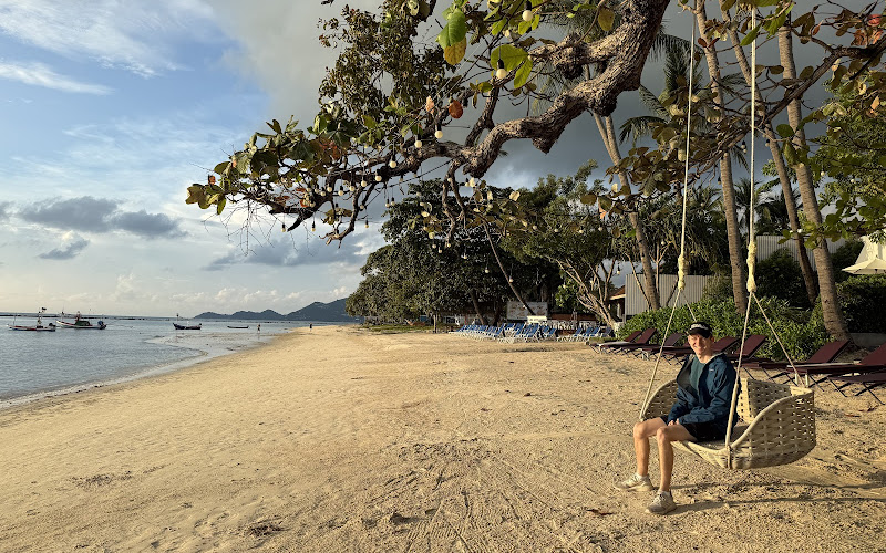 Swinging Chair
