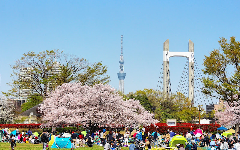 Kiba Park