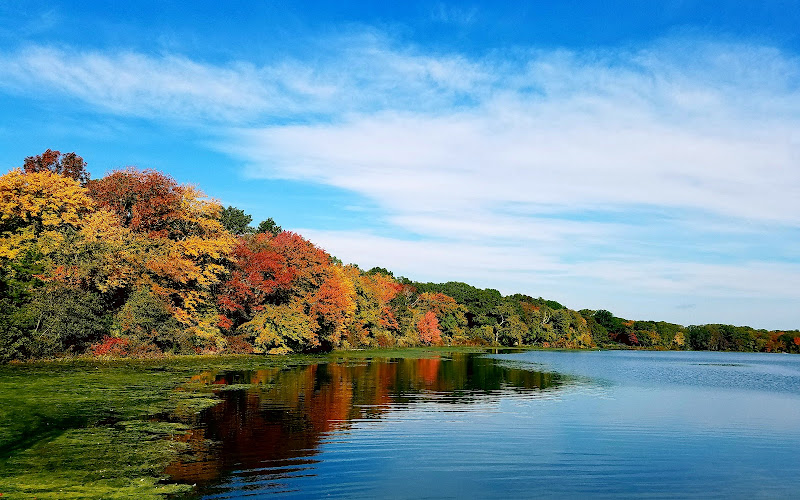 제임스 V 터너 리저뷰어
