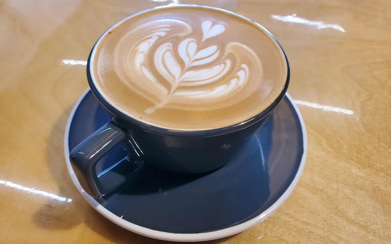 Bearded Lady Coffee Roasters