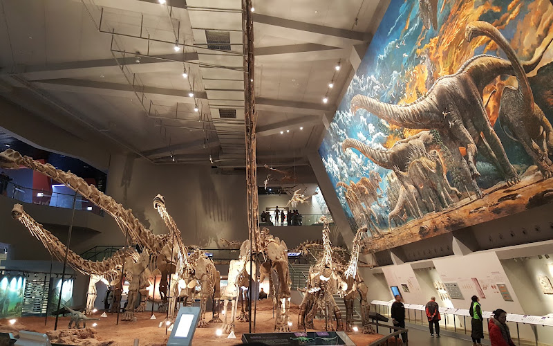 Chongqing Natural History Museum