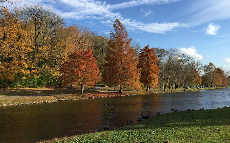 Shelby Park