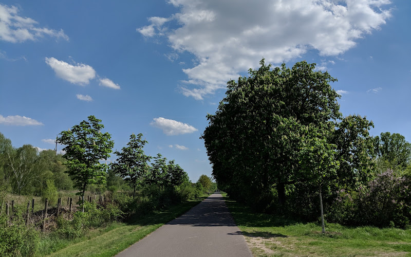 public park Wuhlheide