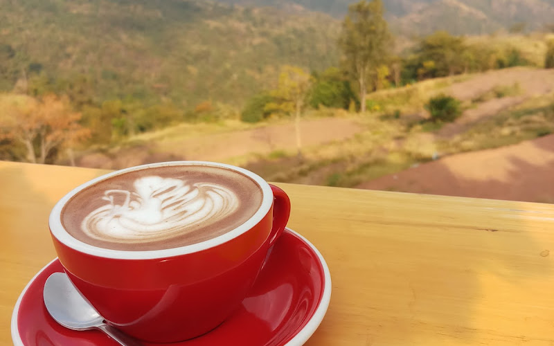 タックモー コーヒー