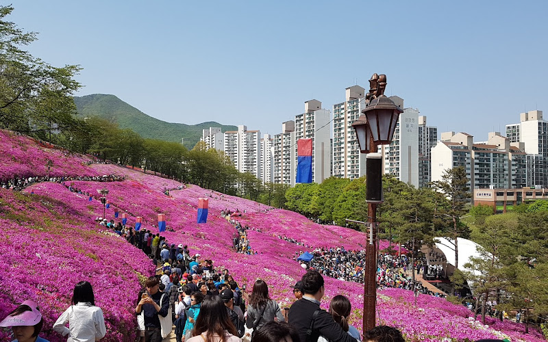 철쭉공원