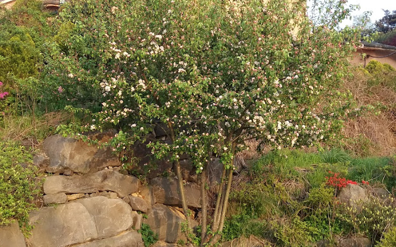 작은영토레스토랑