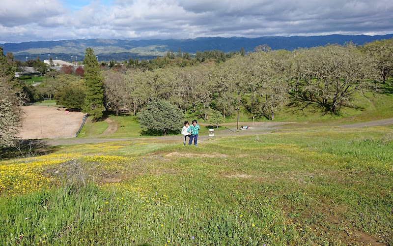 Low Gap Park