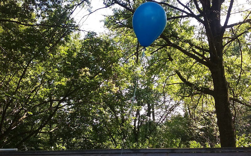 Fox Chapel Neighborhood Park