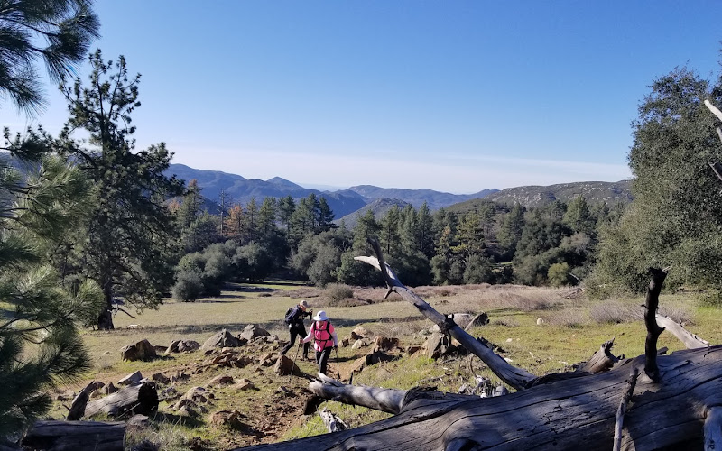 Harvey Moore Trailhead