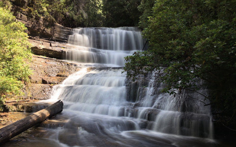 Lady Barron Falls